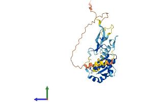 AlphaFold protein structure predicition of Mouse Recombinant Grxcr1 Protein, UniprotID Q50H32