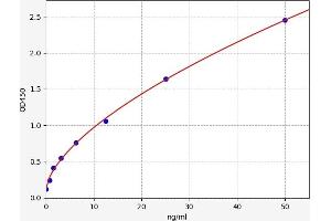 Typical standard curve (DPP9 ELISA Kit)