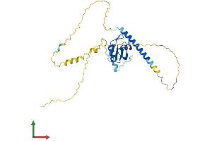 AlphaFold protein structure predicition of Human Recombinant HNRNPCL2 Protein, UniprotID B2RXH8 (HNRNPCL2 Protein (AA 1-293) (His tag))