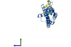 Protein Structure (PS) image for COMM Domain Containing 3 (COMMD3) (AA 1-195) protein (His tag) (ABIN7546668)