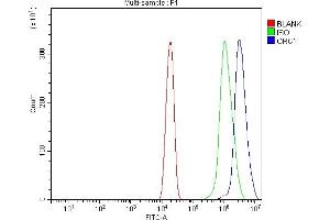 Flow Cytometry analysis of U20S cells using anti-ORC1 antibody (ABIN7602199). (ORC1 antibody  (AA 628-861))