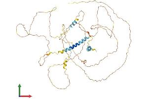 Protein Structure (PS) image for Metadherin (MTDH) (AA 1-579) protein (His tag) (ABIN7558392)