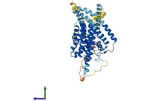 AlphaFold protein structure predicition of Human Recombinant DGAT1 Protein, UniprotID O75907