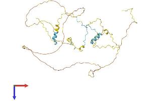 AlphaFold protein structure predicition of Human Recombinant RCSD1 Protein, UniprotID Q6JBY9 (RCSD1 Protein (AA 1-416) (His tag))