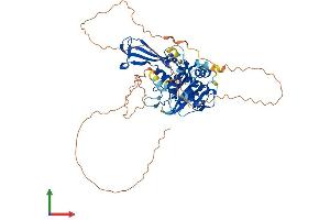 AlphaFold protein structure predicition of Human Recombinant USP17L17 Protein, UniprotID D6RBQ6 (USP17L17 Protein (AA 1-530) (His tag))