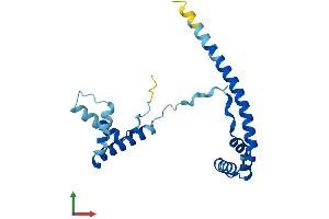AlphaFold protein structure predicition of Human Recombinant HMGB4 Protein, UniprotID Q8WW32