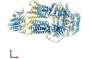AlphaFold protein structure predicition of Human Recombinant ABCA9 Protein, UniprotID Q8IUA7