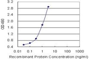 Sandwich ELISA detection sensitivity ranging from 1 ng/mL to 100 ng/mL. (ACTN4 (Human) Matched Antibody Pair)