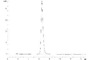 The purity of Human SEZ6L2 is greater than 95 % as determined by SEC-HPLC.