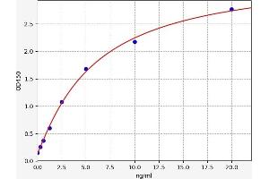 Typical standard curve (DNM2 ELISA Kit)