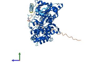 Protein Structure (PS) image for G Protein-Coupled Receptor Kinase 4 (GRK4) (AA 1-574) protein (His tag) (ABIN7562527)
