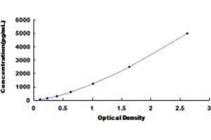 Typical standard curve (Adenosine A2b Receptor ELISA Kit)