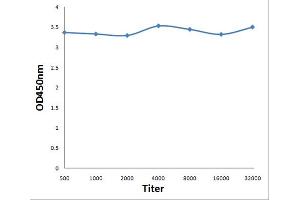 Antigen: 0. (tau antibody  (pSer199))