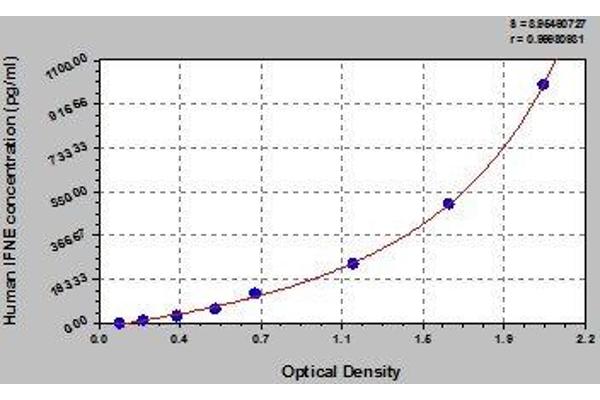 IFNE ELISA Kit