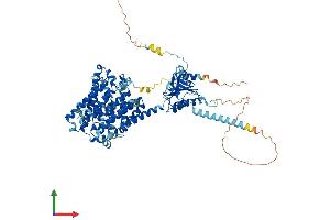 AlphaFold protein structure predicition of Mouse Recombinant Slc26a6 Protein, UniprotID Q8CIW6 (SLC26A6 Protein (AA 1-758) (His tag))