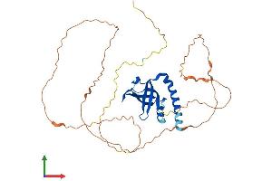 AlphaFold protein structure predicition of Mouse Recombinant Spata22 Protein, UniprotID Q5SV06