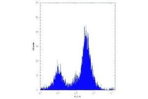 Irak1 antibody flow cytometric analysis of Neuro-2a cells (right histogram) compared to a negative control (left histogram). (IRAK1 antibody  (AA 405-433))
