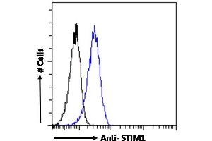 ABIN5539591 Flow cytometric analysis of paraformaldehyde fixed A431 cells (blue line), permeabilized with 0. (STIM1 antibody  (Internal Region))