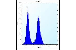 SNX25 Antibody (Center) (ABIN656177 and ABIN2845507) flow cytometric analysis of Jurkat cells (right histogram) compared to a negative control cell (left histogram). (SNX25 antibody  (AA 399-426))