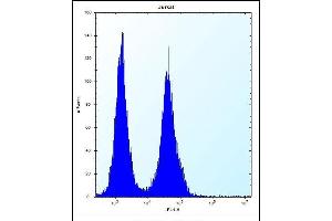 SNX25 Antibody (Center) (ABIN656177 and ABIN2845507) flow cytometric analysis of Jurkat cells (right histogram) compared to a negative control cell (left histogram).