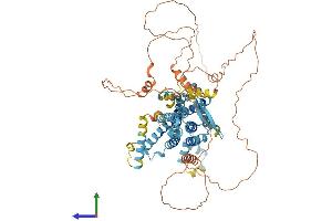 Protein Structure (PS) image for Putative Homeodomain Transcription Factor 1 (PHTF1) (AA 1-762) protein (His tag) (ABIN7550732)