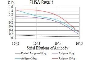 Fig. (RAB5 antibody  (AA 1-215))