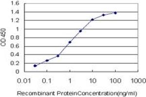 Detection limit for recombinant GST tagged PASK is approximately 0. (PASK antibody  (AA 1-100))