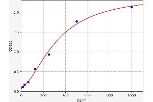 Typical standard curve (CCL5 ELISA Kit)