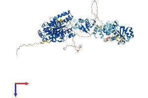 Endogenous Retrovirus Group K, Member 25 (ERVK-25) (AA 1-954) protein (His tag)