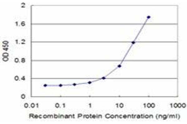 CRYbA2 antibody  (AA 94-193)