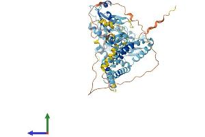 AlphaFold protein structure predicition of Mouse Recombinant Rnf103 Protein, UniprotID Q9R1W3 (RNF103 Protein (AA 1-683) (His tag))