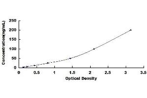 Microfibrillar-Associated Protein 4 (MFAP4) ELISA Kit