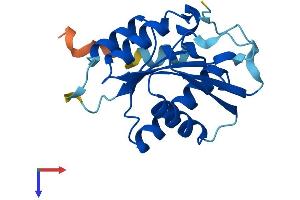 AlphaFold protein structure predicition of Human Recombinant CENPM Protein, UniprotID Q9NSP4 (CENPM Protein (AA 1-180) (His tag))