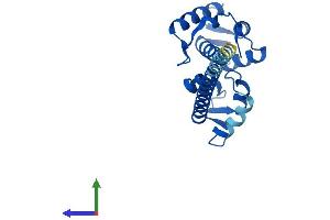 AlphaFold protein structure predicition of Mouse Recombinant Efcab9 Protein, UniprotID Q9DAM2