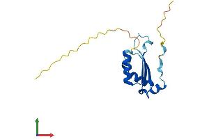AlphaFold protein structure predicition of Human Recombinant BOLA1 Protein, UniprotID Q9Y3E2 (BOLA1 Protein (AA 1-137) (His tag))