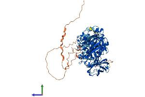 AlphaFold protein structure predicition of Human Recombinant TGM1 Protein, UniprotID P22735
