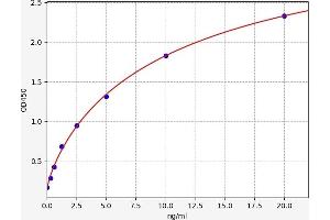 Perforin 1 (Pore Forming Protein) (PRF1) ELISA Kit