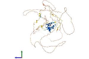 Protein Structure (PS) image for Forkhead Box O1 (FOXO1) (AA 1-655) protein (His tag) (ABIN7553964)