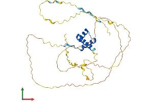 AlphaFold protein structure predicition of Human Recombinant ALX3 Protein, UniprotID O95076