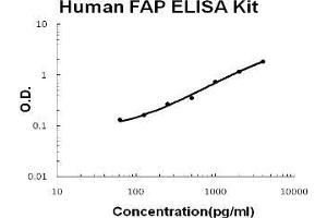 Human Seprase/FAP PicoKine ELISA Kit standard curve (FAP ELISA Kit)