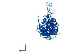 Protein Structure (PS) image for T-Complex Protein 1 Subunit zeta-2-Like (CCT6B) (AA 1-531) protein (His tag) (ABIN7557700)