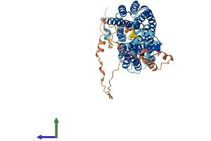 AlphaFold protein structure predicition of Mouse Recombinant Slc22a16 Protein, UniprotID Q497L8