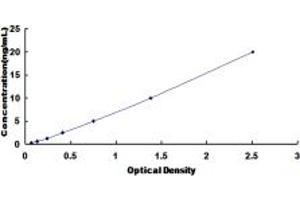 Typical standard curve (Lamin A/C ELISA Kit)