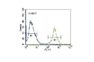 FRK Antibody (N-term) (ABIN392097 and ABIN2841849) flow cytometric analysis of 293 cells (right histogram) compared to a negative control cell (left histogram). (FRK antibody  (N-Term))