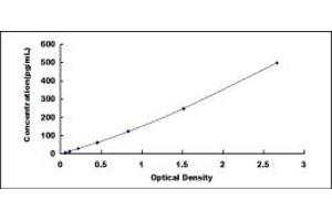 Typical standard curve (FGF17 ELISA Kit)