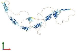AlphaFold protein structure predicition of Mouse Recombinant Kiaa0319l Protein, UniprotID Q8K135