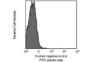 CD3e expression in spleen and thymus. (CD3 epsilon antibody)