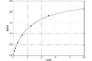 Monoamine Oxidase B (MAOB) ELISA Kit