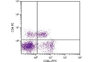 Porcine peripheral blood lymphocytes were stained with Mouse Anti-Porcine CD8α-FITC. (CD8 alpha antibody  (FITC))