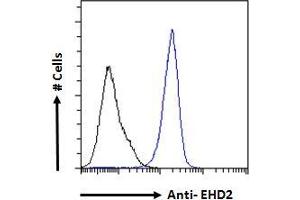 ABIN185287 Flow cytometric analysis of paraformaldehyde fixed A431 cells (blue line), permeabilized with 0.